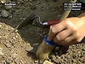 Македонские археологи откопали богиню любви: статуе обнаженной Венеры более двух тысяч лет