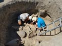 При раскопках на Тамани археологи впервые нашли склад из 18 древнегреческих амфор При раскопках на Тамани археологи впервые нашли склад из 18 древнегреческих амфор