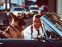 В США скончался режиссер фильмов "Один дома-4" и "Бетховен-2" В США скончался режиссер фильмов "Один дома-4" и "Бетховен-2"