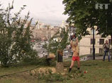  ,        Pussy Riot         Femen,        