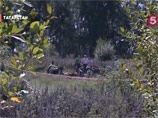       50    , ,  ,       