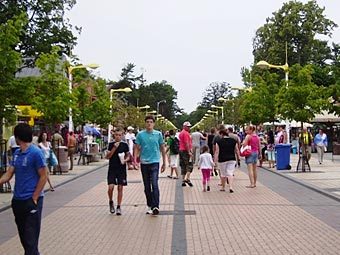 .    palanga.lt