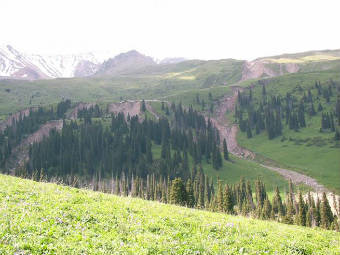    .    main.karasay.kz